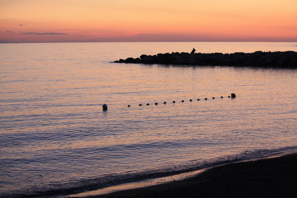 Lungomare Hotel Marina di Cecina Eksteriør billede