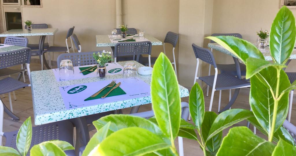 Lungomare Hotel Marina di Cecina Eksteriør billede